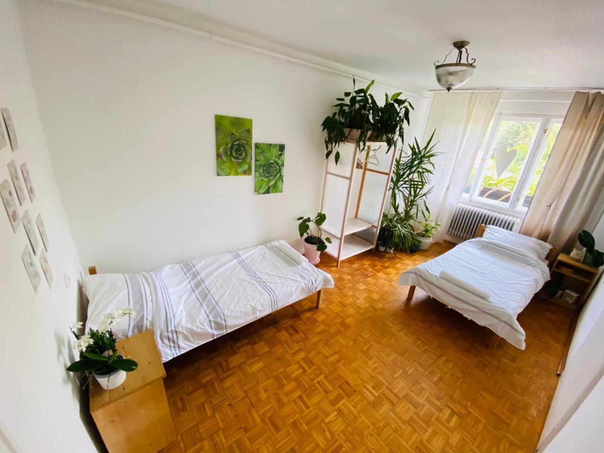 Dreamflat Daire Kestel Dış mekan fotoğraf